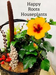 Small Business Sunday feature